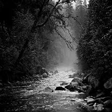 Death as an&nbsp;Advisor